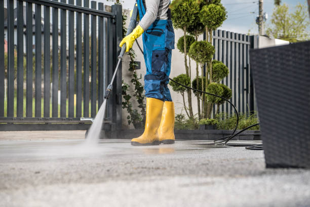 Best Solar Panel Cleaning  in Lumberton, MS
